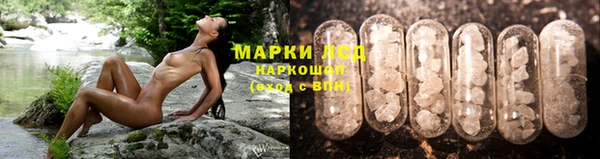 альфа пвп Бородино