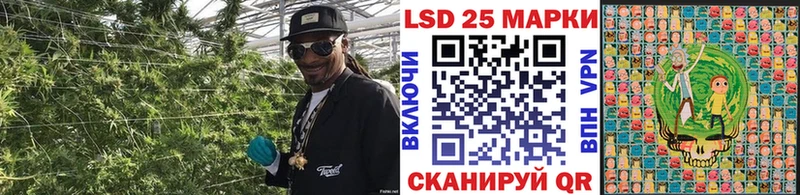 Марки NBOMe 1500мкг  Нерчинск 