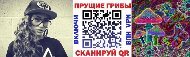 Галлюциногенные грибы Psilocybe  kraken как зайти  Нерчинск 